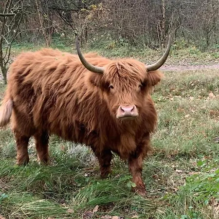 Luxury Houseboat Getaway *